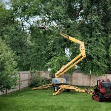 Belfair, WA Tree Care Company