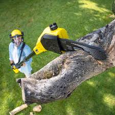 Best Landscape Design and Installation  in Belfair, WA
